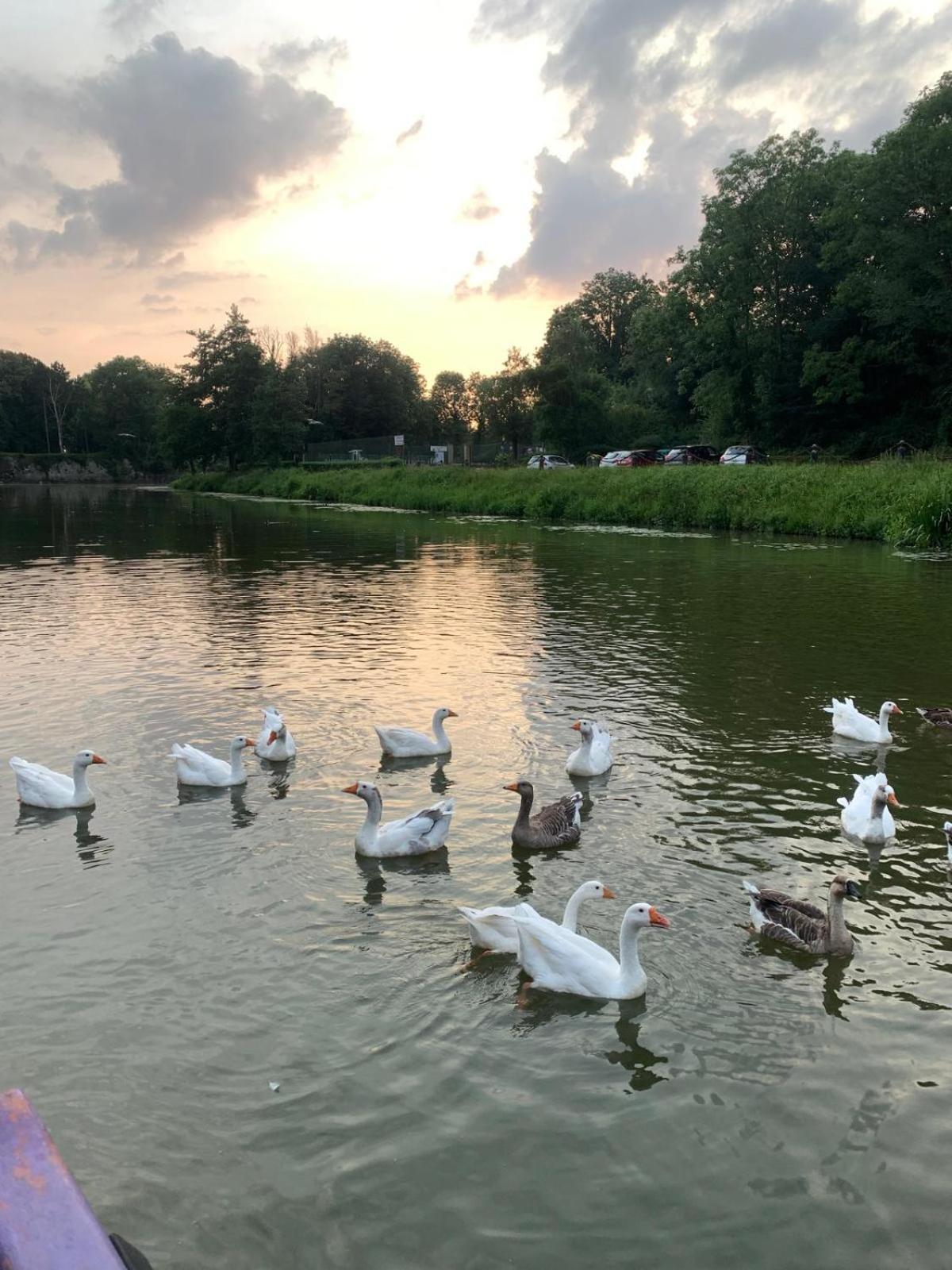 Nuit Insolite A Bord D'Une Peniche, 6 Personnes Bergues Bagian luar foto